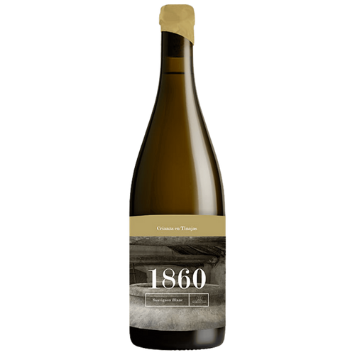 Bodegas Cano "1860 Coleccíon" Sauvignon Blanc Amfora - Sobre Lias 2024 Almansa DO