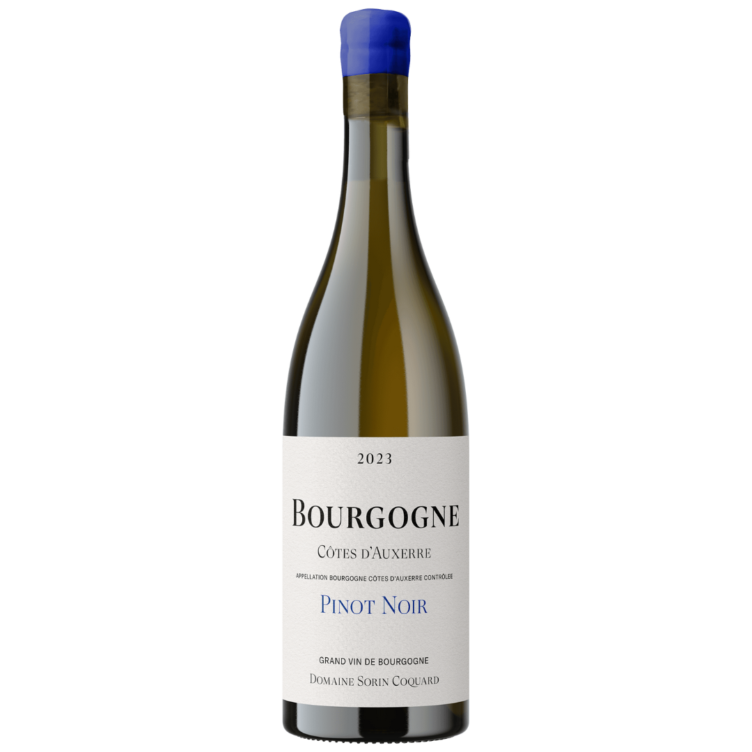 Bourgogne Pinot Noir 2024 Côtes d`Auxerre - Domaine Sorin-Coquard ...