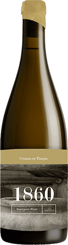 Bodegas Cano "1860 Coleccíon" Sauvignon Blanc Amfora - Sobre Lias 2024 Almansa DO (1 stk køb)