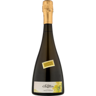 Champagne William Saintot BdN - Lieudit 