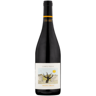 Domaine Frédéric Brouca Champs Pentus AOC Faugéres 2021